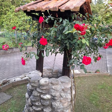 Il Vecchio Kiwi - House With Private Garden Villa Oleggio Castello Buitenkant foto