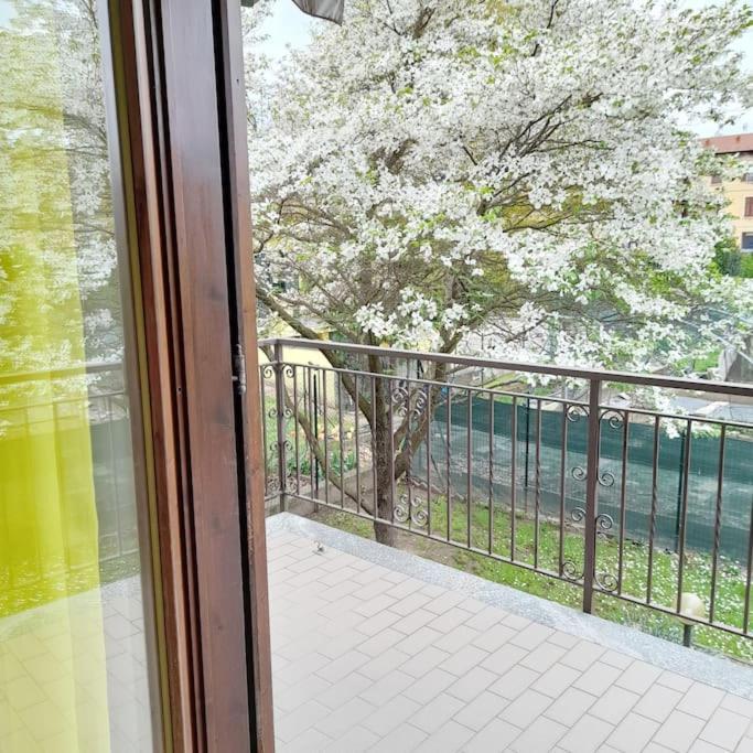 Il Vecchio Kiwi - House With Private Garden Villa Oleggio Castello Buitenkant foto