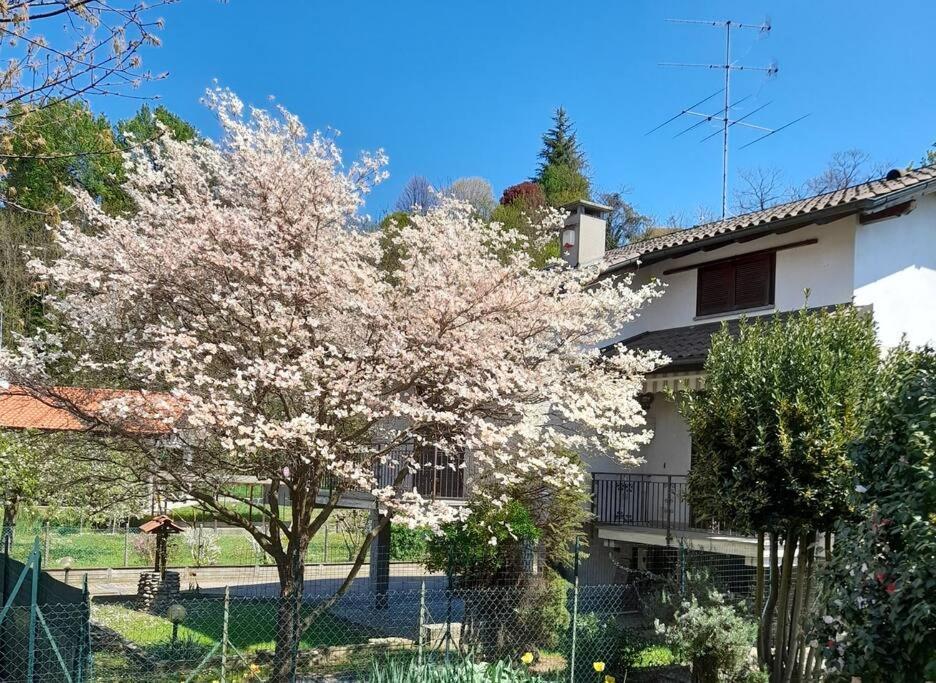 Il Vecchio Kiwi - House With Private Garden Villa Oleggio Castello Buitenkant foto